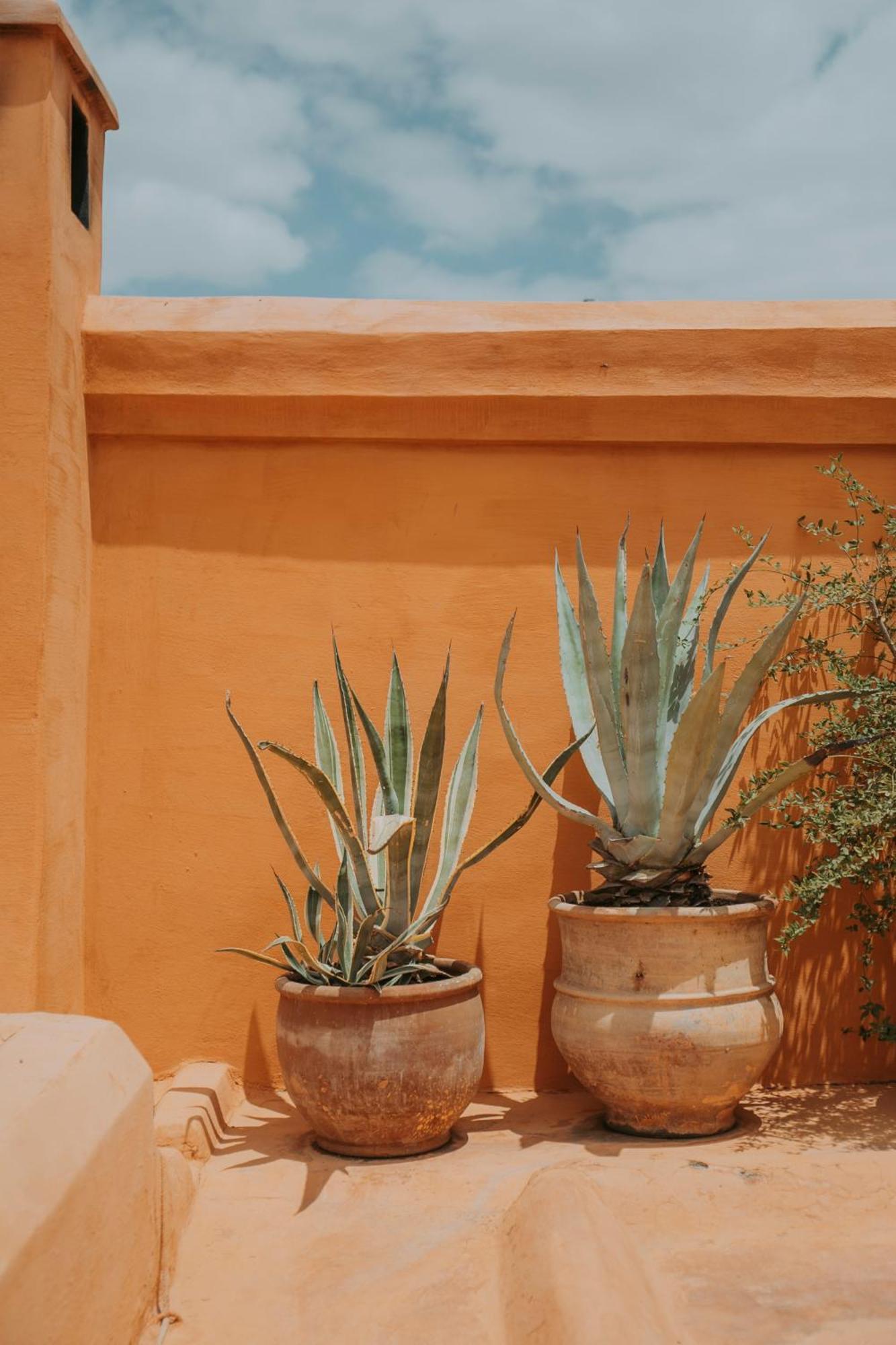 Dar El Qadi Hotel Marrakesh Ngoại thất bức ảnh