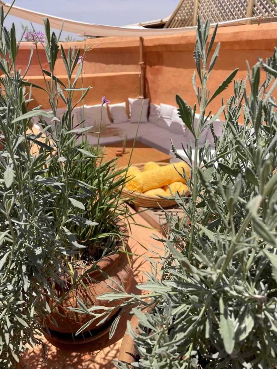 Dar El Qadi Hotel Marrakesh Ngoại thất bức ảnh
